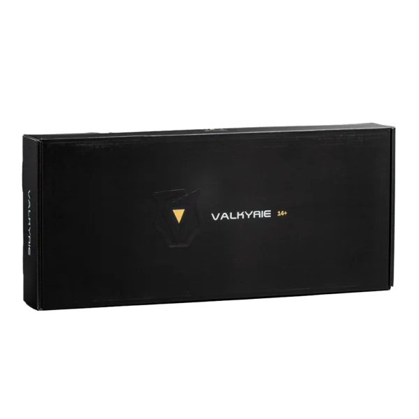 SBL Valkyrie Nerf Blaster Box
